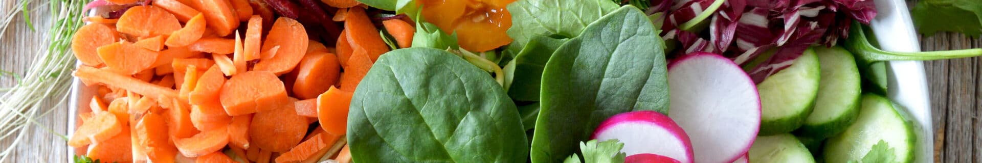 Vegetariskt iFokus